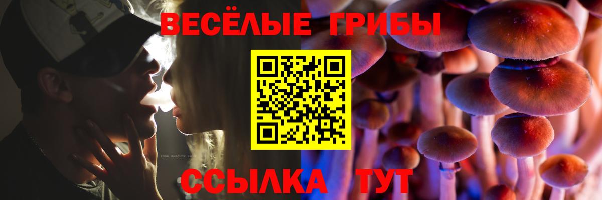 Псилоцибиновые грибы GOLDEN TEACHER  Псилоцибиновые грибы прущие грибы  Вход с VPN  Учалы 